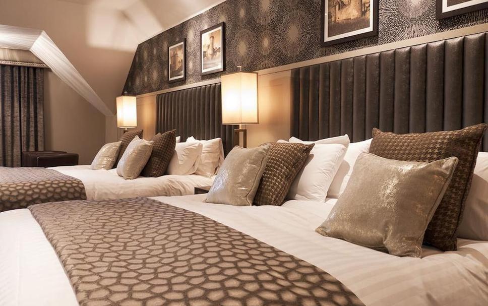 Hotel Tulip Near Delhi Airport New Delhi Bilik gambar